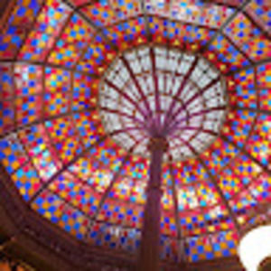 Meet your Posher, Dorothy